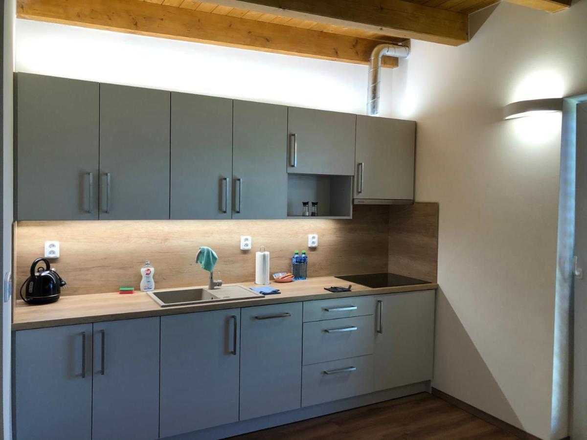 Anico Apartmany Dolni Benesov Exterior photo