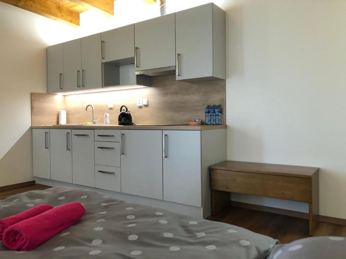 Anico Apartmany Dolni Benesov Exterior photo