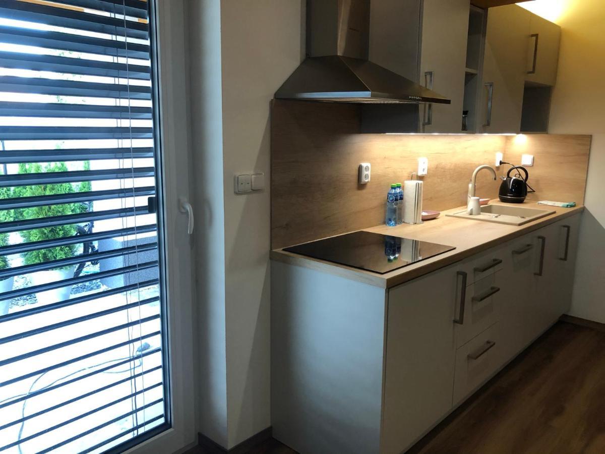 Anico Apartmany Dolni Benesov Exterior photo
